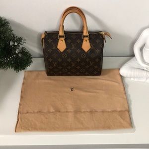 👜LV Vintage dustbag ( Item #11 )